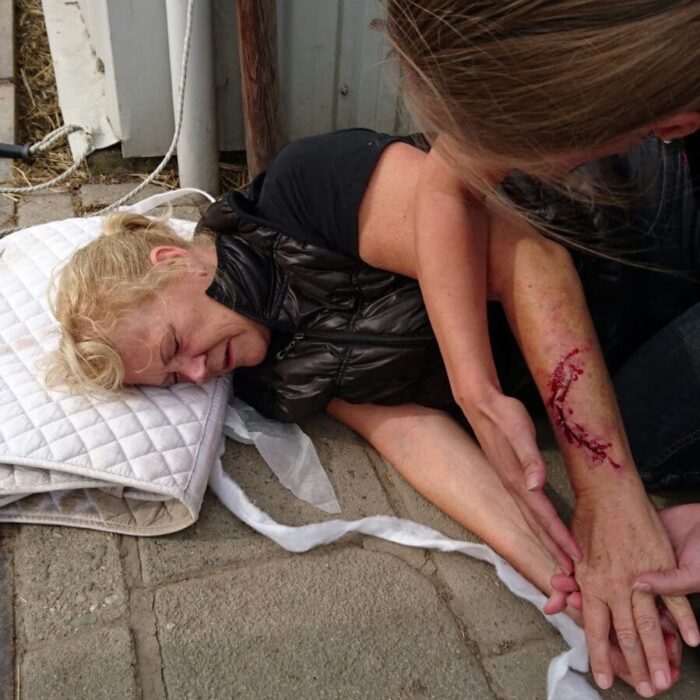 bhv herhaling paarden