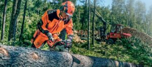 Dienstverlening Branche | Bloemendal Arbo Adviesburo