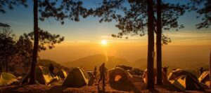 Recreatie en toerisme branche - Bloemendal arbo Adviesburo